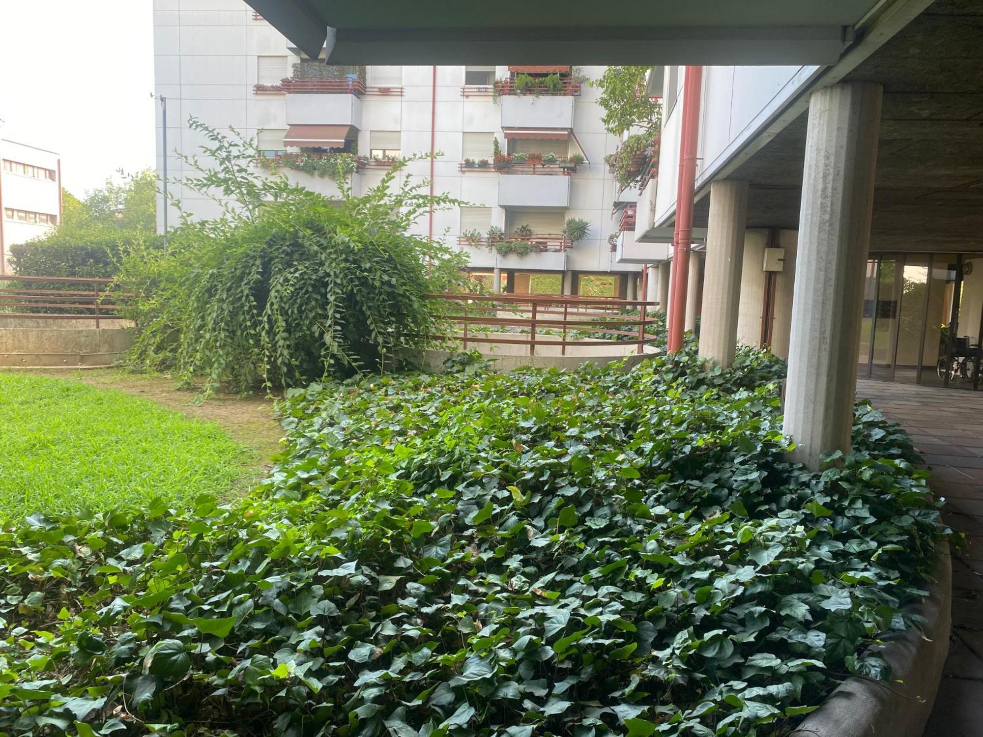 La Belle Vue Apartment Verona Exterior photo